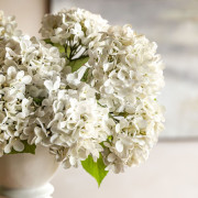 Vintage Hydrangea Floral Stem – Ivory 